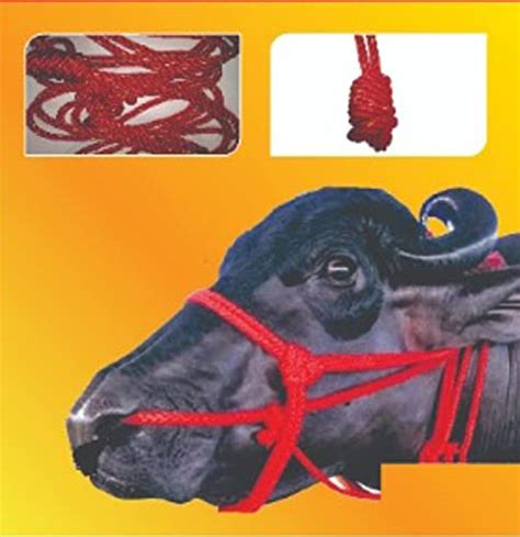 Buy Cattle Rope MOHARI/Cow/Bull/Buffalo MOHARA, MOHARI (26.5 Feet, 400 ...