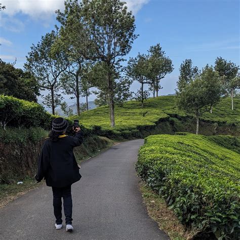 SHOLA CROWN RESORT - MUNNAR (Muthuvan Kudi) - Inn Reviews, Photos, Rate ...