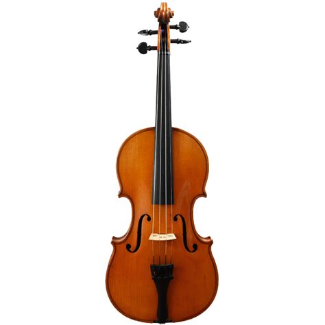 Image result for The String Instruments