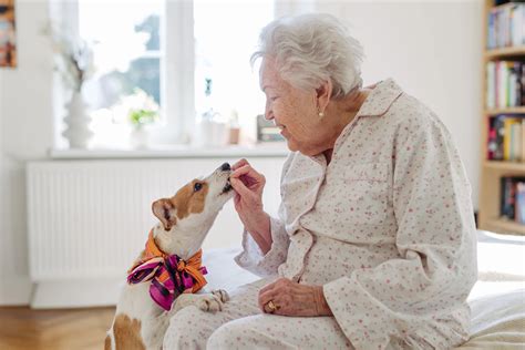 Rezultat imagine pentru Senior Step Routine