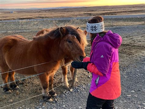 ALWAYS ICELAND Guide (2026) All You Need to Know BEFORE You Go (with ...