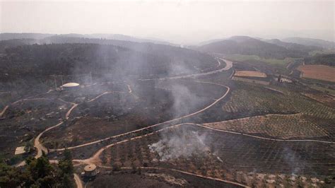 Israel news: Massive fire near Jerusalem brought under control, strong ...