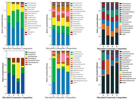 Contrasting Key Bacteria and Fungi Related to Sugar Beet (Beta vulgaris ...