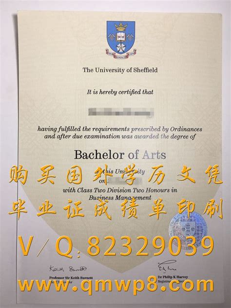 谢菲尔德大学毕业证/文凭/学位证书 | University of sheffield, Bachelor of arts, Professor