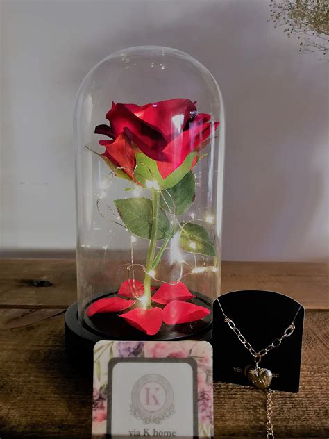 Via K Home Beauty And The Beast Enchanted Led Red | Desertcart INDIA