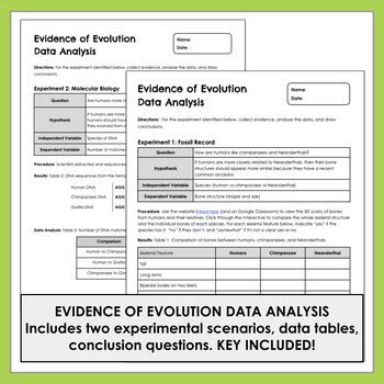 Image result for Evolution Lesson Videos