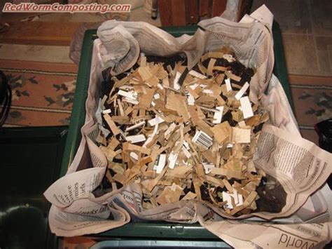 Worm Farm 360 的图像结果