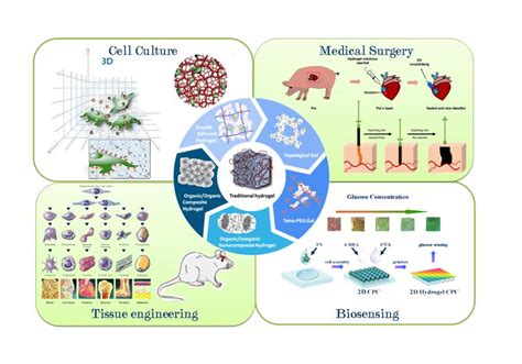 Applications of Hydrogels with Special Physical Properties in Biomedicine