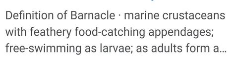 What is Barnacle meaning - Brainly.in