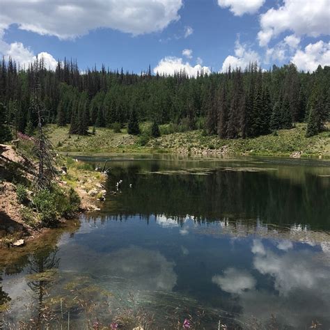 DEER LAKES CAMPGROUND (Lake City) - Campground Reviews & Photos ...