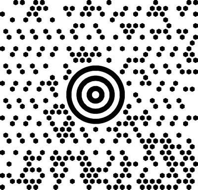 Image result for MaxiCode in Python Generator