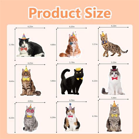 Obookey Cat Themed Birthday Party Decorations - 9PCS Cat India | Ubuy