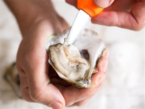 How to Shuck an Oyster | Knife Skills