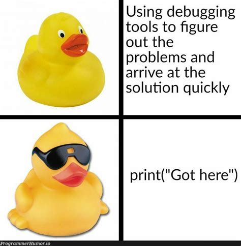Image result for Debugging Duck Python