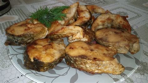 Кефаль - что за рыба: фото, описание, как выбрать, рецепты, особенности ...