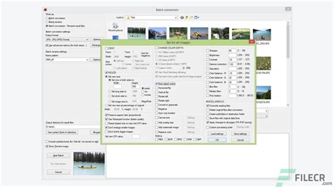 Image result for IrfanView PDF