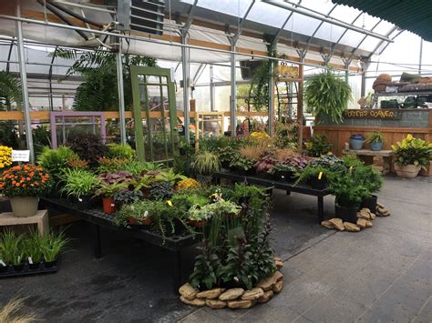 Flower Nurseries Near Me at Ana Baron blog