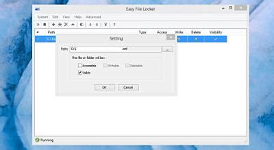 Image result for How to Use Easy File Locker Win11