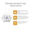 Buy KENT 16053 Egg Boiler-W 360W | Stainless Steel Heating Plate | 3 ...