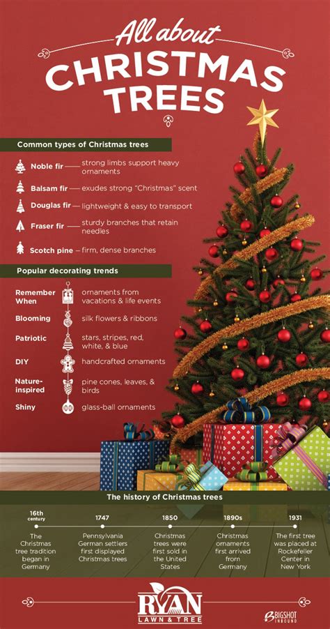 Names Of Different Types Of Christmas Trees at Alex Cruz blog