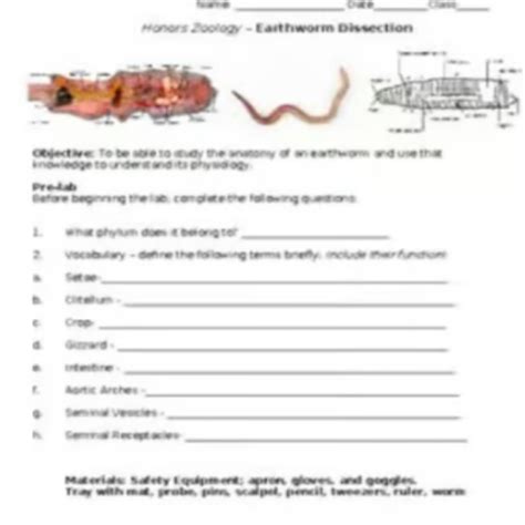 Image result for Free Virtual Earthworm Dissection Lab