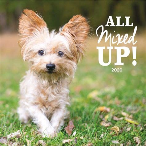 Buy All Mixed Up! 2020 Calendar Book Online at Low Prices in India ...