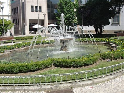 JARDIM TOMAS RIBEIRO (2026) All You Need to Know BEFORE You Go (with ...