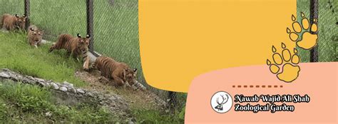 Lucknow Zoo