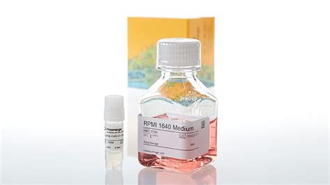 FcγRIIb CHO-K1 Cells