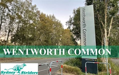Wentworth Common STaR, Wentworth Common parkrun - meet along the lit ...