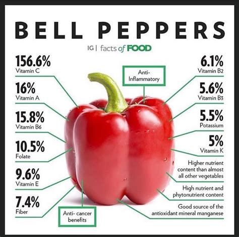 Bell Peppers Benefits Pepper Mighty Veggies Red Bell Pepper Grafted