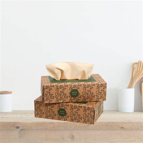 Bamboo Facial Tissues Pack of 2 | 2-Ply | 100 Pulls Each | Printed Box ...