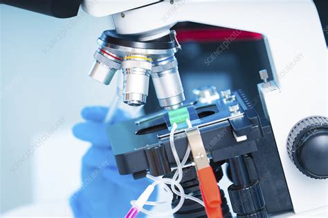 Image result for Lab On a Chip Outer Space