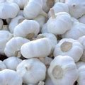 Garlic buy in Asansol