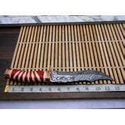 Buy 12 Long Damascus Steel Hunting Bowie Knife Hand Forged, Exotic ...