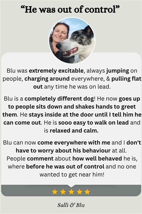 Border Collie Trick Training 的图像结果