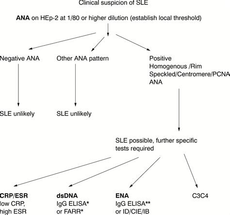 Antibody Testing For Systemic Lupus Erythematosus at Michael Hannigan blog