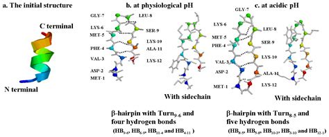 Turn-Directed α-β Conformational Transition of α-syn12 Peptide at ...