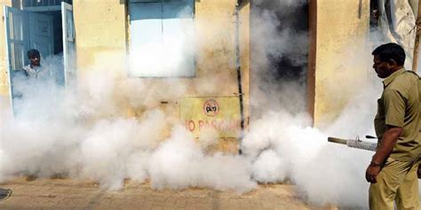 Explainer / Zika virus | Kerala | mosquitoes | zika virus