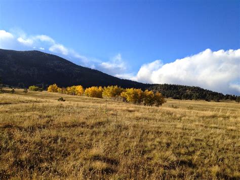 Elk Meadow Park at Christine Mayer blog