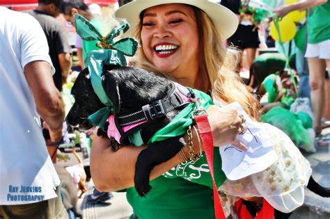 New festival in New Braunfels will celebrate all things pickled