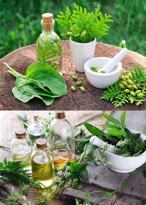 Request for Prospectus