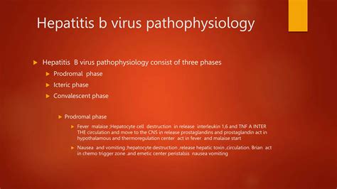Hepatitis b virus replication and pathophysiology full.pptx