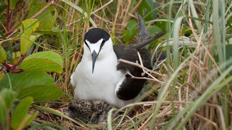 Most Beautiful Places In Lakshwadeep - Scenic Natural Attractions 2024