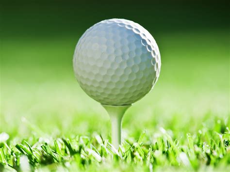 Image result for tee