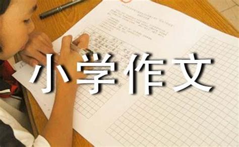 中国传统文化小学作文300字（荐）