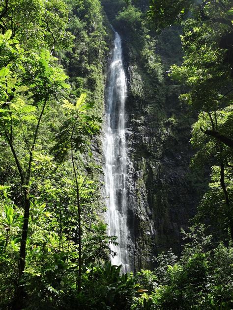 PIPIWAI TRAIL (2025) All You Need to Know BEFORE You Go (with Photos ...