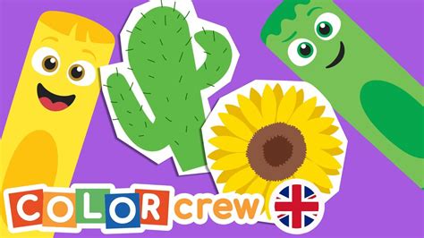 Image result for Color Crew Videos