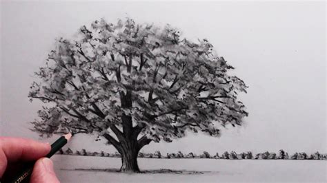 Tree Drawing Tutorial 的图像结果
