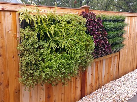 Plastic Wall Planters